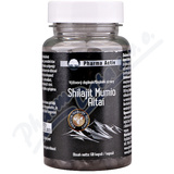 Shilajit Mumio Altai cps. 60