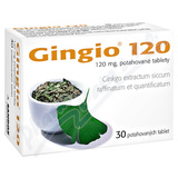 Gingio 120mg tbl. flm. 30x120mg