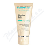 Dr. Schrammek Blemish Balm Honey 40ml