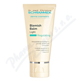 Dr. Schrammek Blemish Balm Light 40ml
