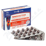 Reig Jofre Tendoactive cps. 30