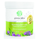 Green idea Kostivalov� gel 250ml+50ml 20% NAV�C
