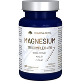 Magnesium TRI COMPLEX + B6 tob. 120